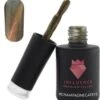 #CHAMPAGNECATEYE - Influence Gellac - Gouden Gellak - Gellak Goud UV - Cat Eye - UV Gellak - Gel Nagellak - Gellac - Kado Vrouw - Valentijns Cadeau - Kado Voor Haar - 10 Ml - Inclusief Magneet -Beroemde Cosmetica Winkel 1103x1200