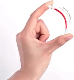 Bellive Tattoo Lipstick Red - Lipstick Dames - Tiktok - Lippenstift Wattenstaafje 20 Stuks - Lipstick Set - Waterproof Lipstick - Lippenstift Langhoudend - Long Lasting Lip Gloss - Multicolor 17 Bellive Tattoo Lipstick Red - Lipstick Dames - Tiktok - Lippenstift Wattenstaafje 20 Stuks - Lipstick Set - Waterproof Lipstick - Lippenstift Langhoudend - Long Lasting Lip Gloss - Multicolor -Beroemde Cosmetica Winkel 1114x1200 6