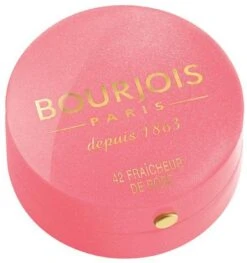 Bourjois Little Round Pot Blush - 33 Lilas D'Or -Beroemde Cosmetica Winkel 1129x1200