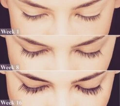 Lanthome Wimperserum - Met Castor Olie -Beroemde Cosmetica Winkel 1200x1056 2