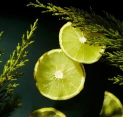 RITUALS Life Is A Journey - Homme Car Perfume - 6 Ml -Beroemde Cosmetica Winkel 1200x1136 8