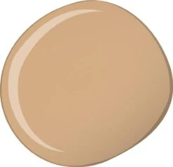 L'Oréal Paris True Match The One Concealer - 6D/W Golden Honey -Beroemde Cosmetica Winkel 1200x1159 5