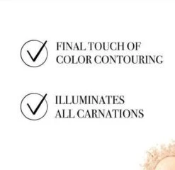 Bourjois Le Petit Strober Highlighter - 00 Universal Glow -Beroemde Cosmetica Winkel 1200x1164 15