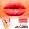 Natuurlijke Lip Plumper | Plumping | Vollere Lippen In 2 Min | Lip Vergroter| Lip Maximizer | Gember Extract & Vitamine E -Beroemde Cosmetica Winkel 1200x1172 7