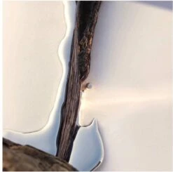 Hugo Boss Alive 80 Ml - Eau De Parfum - Damesparfum -Beroemde Cosmetica Winkel 1200x1188 22