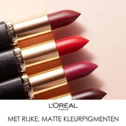 L'Oréal Paris Color Riche Matte Lippenstift - 655 Copper Clutch -Beroemde Cosmetica Winkel 1200x1198 33