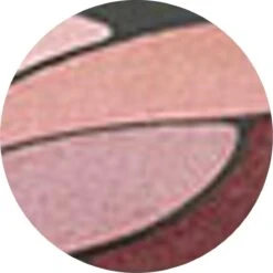 L’Oréal Paris Color Riche Les Ombres Quad - E6 Eau De Rose - Oogschaduw -Beroemde Cosmetica Winkel 1200x1199 10