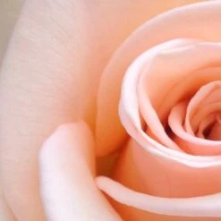 Spider-Man Eau De Toilette Spray - 100 Ml - Parfum Voor Kinderen 12 Spider-Man Eau De Toilette Spray - 100 Ml - Parfum Voor Kinderen -Beroemde Cosmetica Winkel 1200x1200 1949