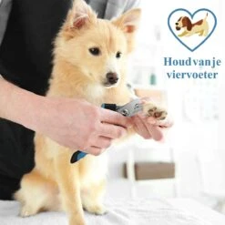 Merkloos Nagelknippper Hond Nagelknipper Kat + E-BOOK - Nagelschaar Hond - Nagelschaar Kat - Honden Nagelknipper - Nagelvijl Hond - Nageltang Hond - Nagelknipper Hond Veiligheidsstop - Nagel Hond - Bwa Commerce 9 Merkloos Nagelknippper Hond Nagelknipper Kat + E-BOOK - Nagelschaar Hond - Nagelschaar Kat - Honden Nagelknipper - Nagelvijl Hond - Nageltang Hond - Nagelknipper Hond Veiligheidsstop - Nagel Hond - Bwa Commerce -Beroemde Cosmetica Winkel 1200x1200 523