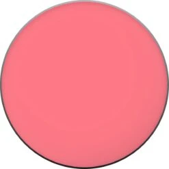 L'Oréal Paris True Match Blush - 165 Rose Bonne Mine -Beroemde Cosmetica Winkel 1200x1200 555