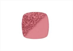 L'Oréal Paris True Match Blush - 165 Rose Bonne Mine -Beroemde Cosmetica Winkel 1200x845