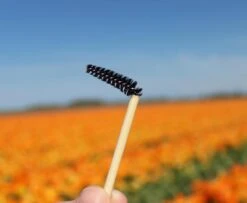 Natural Shaper Brow Soap Met Bamboo Brush – Browsoap - Wenkbrauwgel Met Langdurig Effect – Veilig En Natuurlijk – Brow Shaping - Wenkbrauw Soap -Beroemde Cosmetica Winkel 1200x984