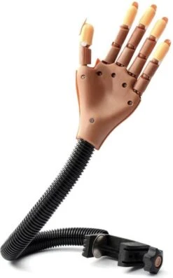 Merkloos Nailtrainer – Nail Practice Hand – Oefenhand Nagelstyliste (incl. 100 Oefen Nagels!) -Beroemde Cosmetica Winkel 746x1200 1